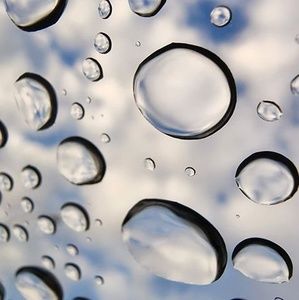 Meet your Posher, Hoàng phong